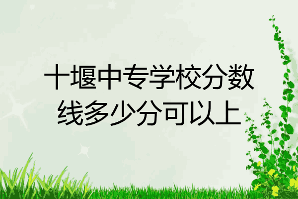 十堰中专学校分数线多少分可以上