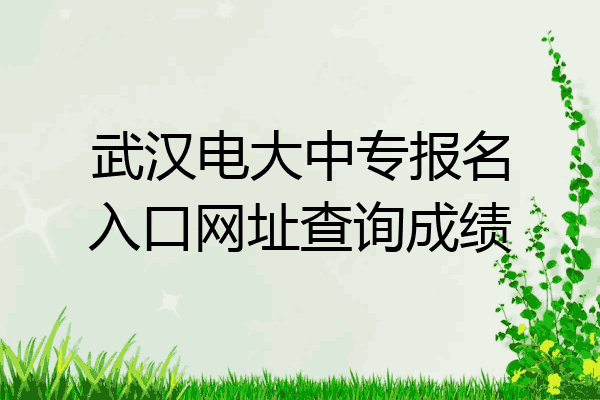 武汉电大中专报名入口网址查询成绩