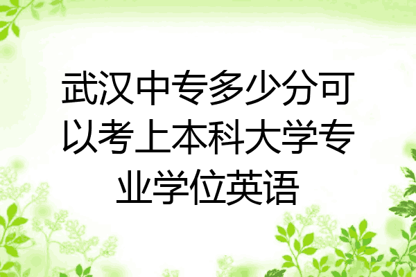 武汉中专多少分可以考上本科大学专业学位英语