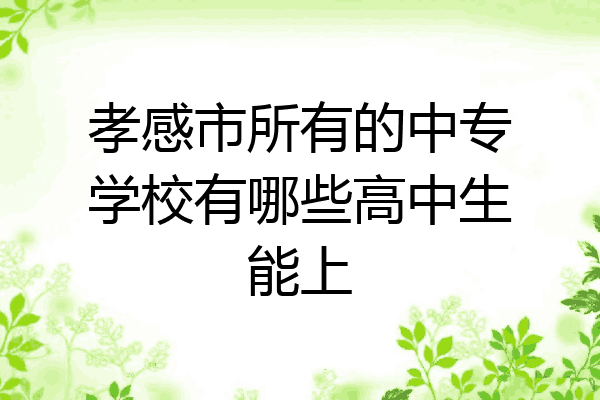 孝感市所有的中专学校有哪些高中生能上