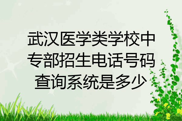 武汉医学类学校中专部招生电话号码查询系统是多少