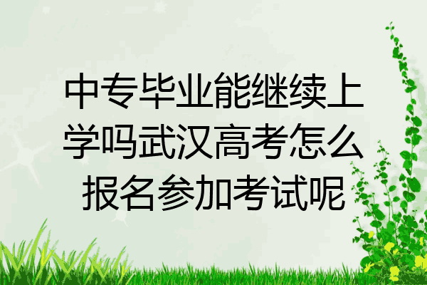 中专毕业能继续上学吗武汉高考怎么报名参加考试呢