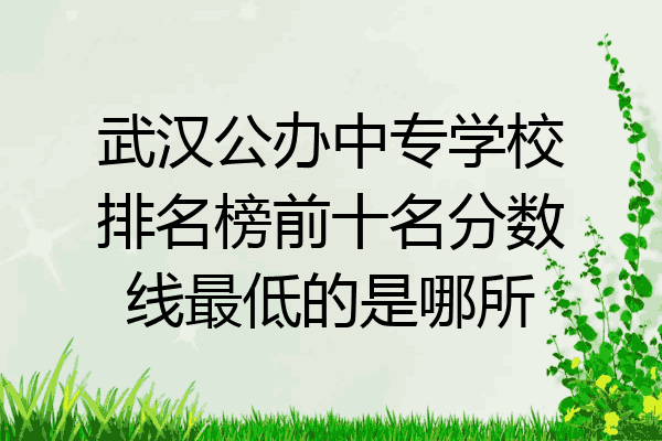 武汉公办中专学校排名榜前十名分数线最低的是哪所
