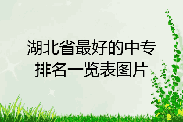 湖北省最好的中专排名一览表图片