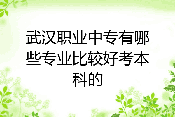 武汉职业中专有哪些专业比较好考本科的