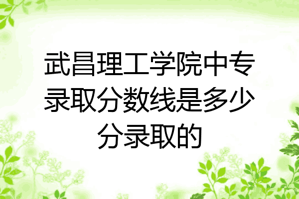 武昌理工学院中专录取分数线是多少分录取的
