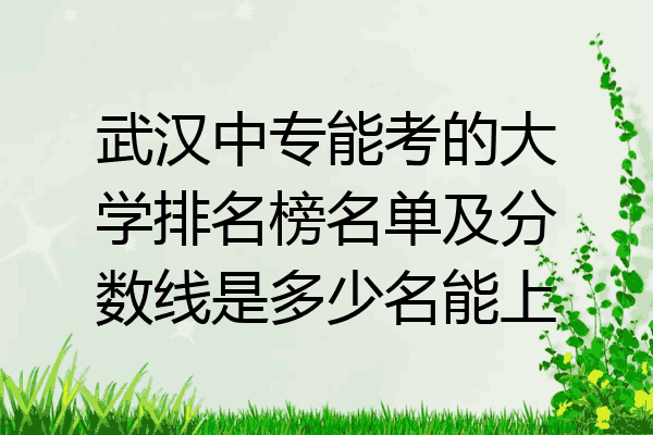 武汉中专能考的大学排名榜名单及分数线是多少名能上