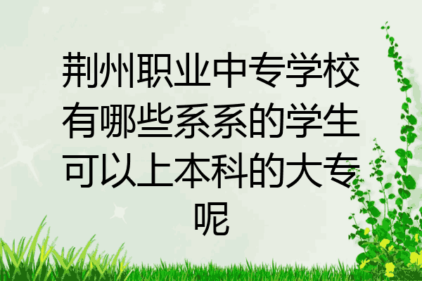 荆州职业中专学校有哪些系系的学生可以上本科的大专呢
