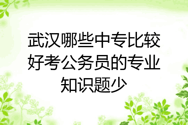 武汉哪些中专比较好考公务员的专业知识题少