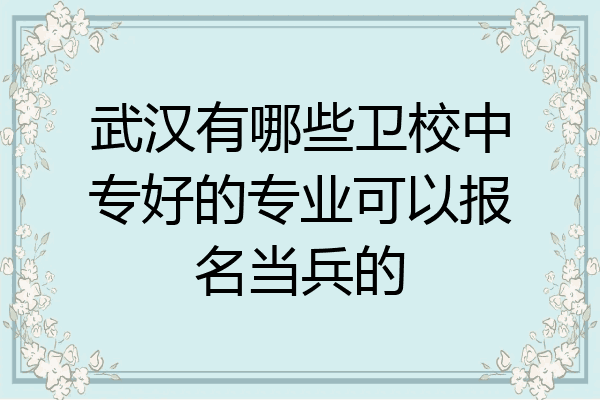 武汉有哪些卫校中专好的专业可以报名当兵的
