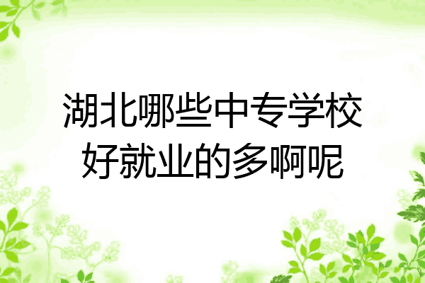 湖北哪些中专学校好就业的多啊呢