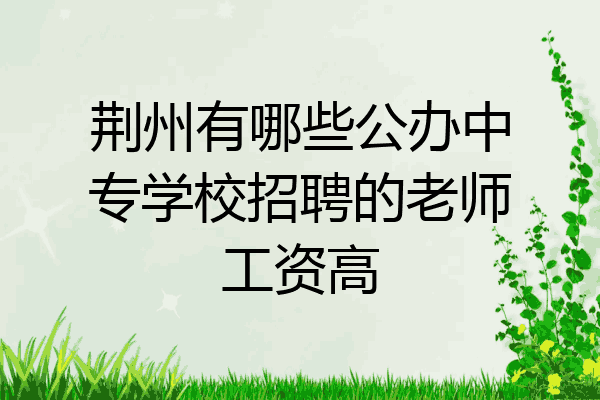 荆州有哪些公办中专学校招聘的老师工资高