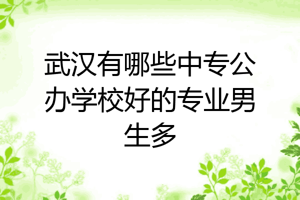 武汉有哪些中专公办学校好的专业男生多