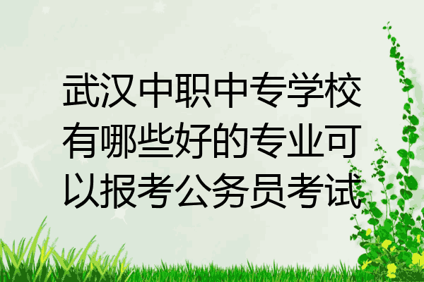 武汉中职中专学校有哪些好的专业可以报考公务员考试