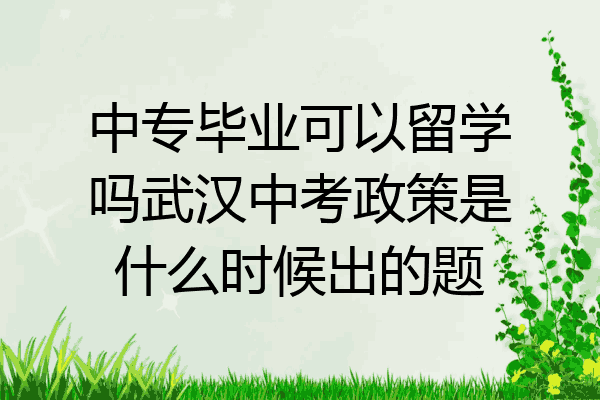 中专毕业可以留学吗武汉中考政策是什么时候出的题