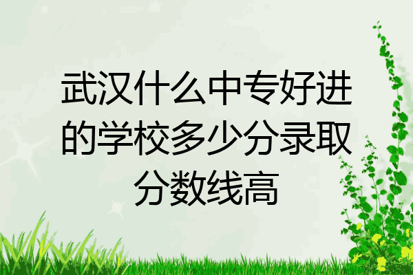 武汉什么中专好进的学校多少分录取分数线高