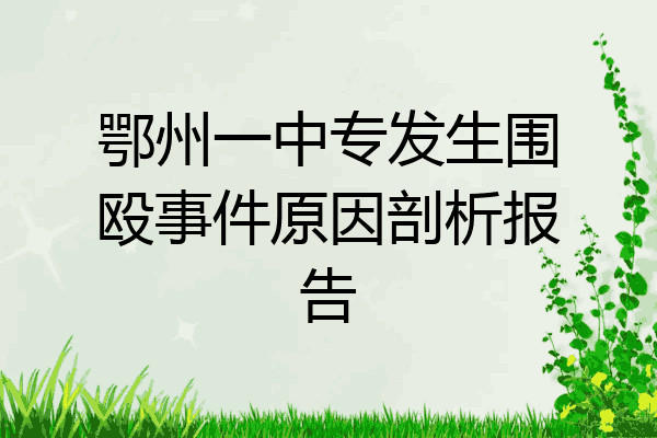 鄂州一中专发生围殴事件原因剖析报告