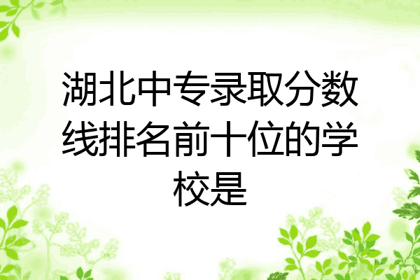 湖北中专录取分数线排名前十位的学校是