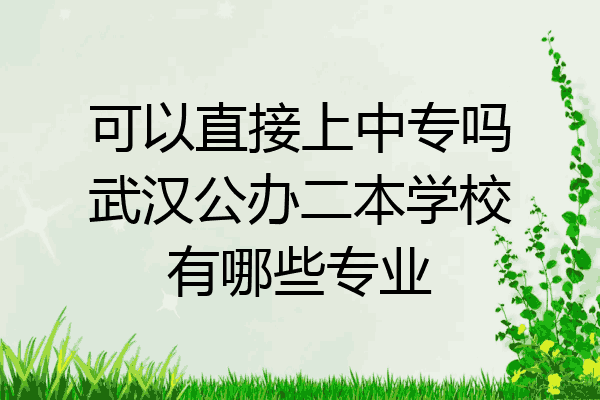 可以直接上中专吗武汉公办二本学校有哪些专业