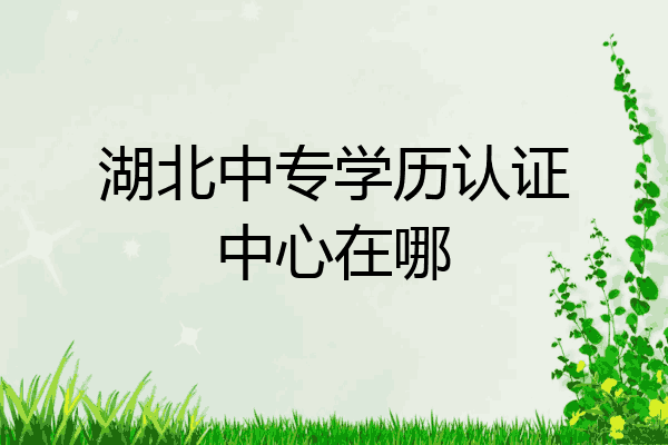 湖北中专学历认证中心在哪