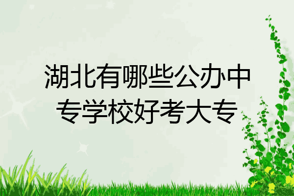 湖北有哪些公办中专学校好考大专