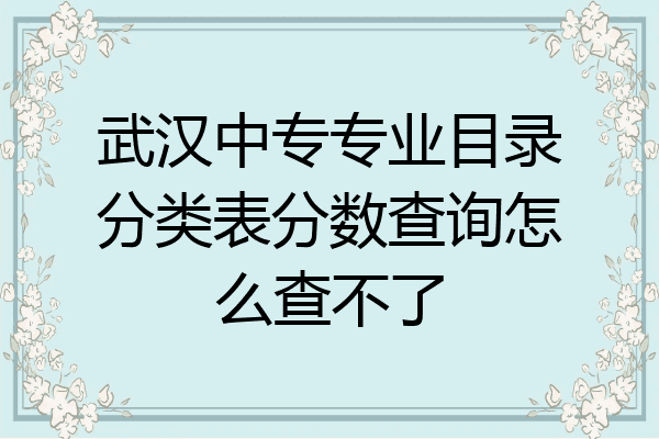 武汉中专专业目录分类表分数查询怎么查不了
