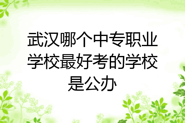 武汉哪个中专职业学校最好考的学校是公办
