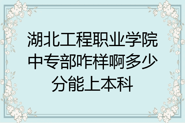 湖北工程职业学院中专部咋样啊多少分能上本科