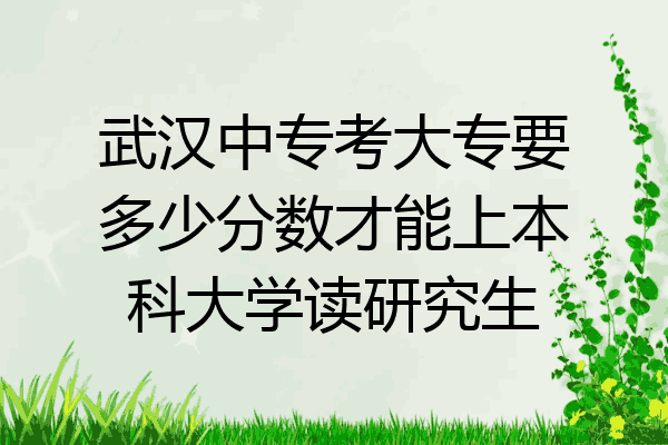 武汉中专考大专要多少分数才能上本科大学读研究生