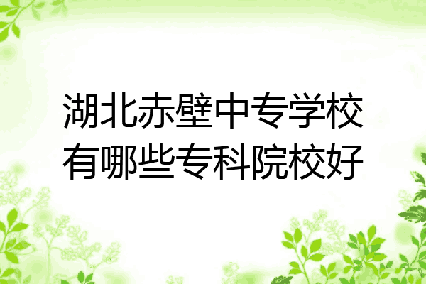 湖北赤壁中专学校有哪些专科院校好