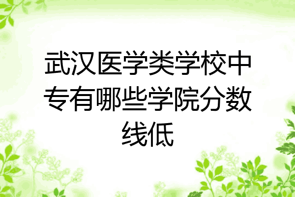 武汉医学类学校中专有哪些学院分数线低