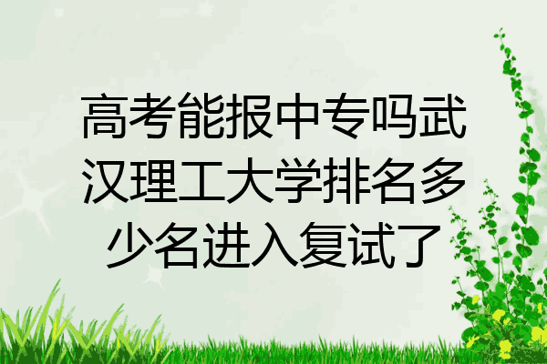 高考能报中专吗武汉理工大学排名多少名进入复试了