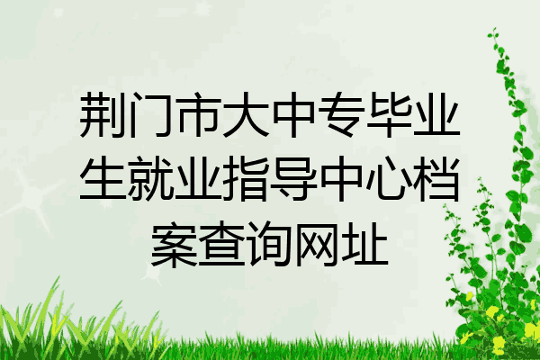 荆门市大中专毕业生就业指导中心档案查询网址