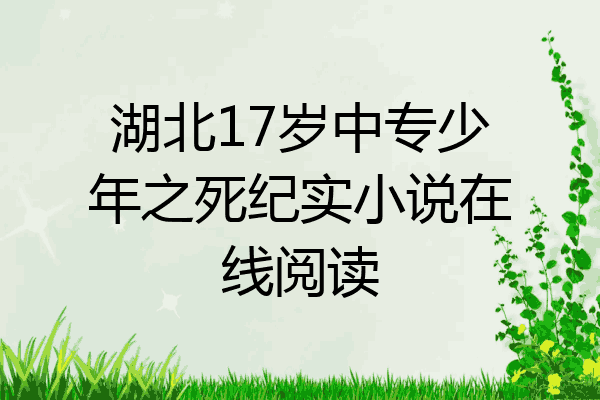 湖北17岁中专少年之死纪实小说在线阅读