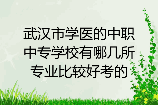 武汉市学医的中职中专学校有哪几所专业比较好考的