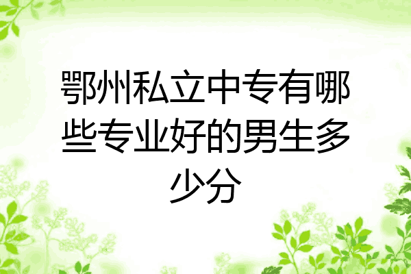 鄂州私立中专有哪些专业好的男生多少分