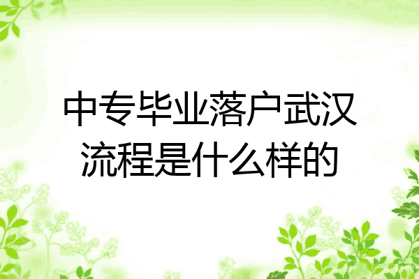 中专毕业落户武汉流程是什么样的