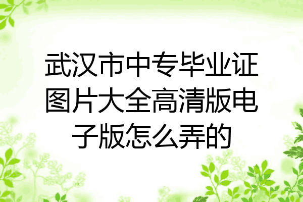 武汉市中专毕业证图片大全高清版电子版怎么弄的