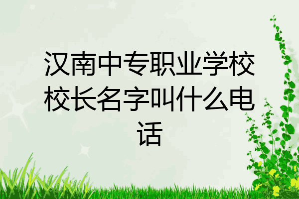 汉南中专职业学校校长名字叫什么电话