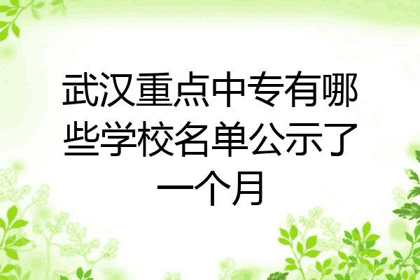 武汉重点中专有哪些学校名单公示了一个月