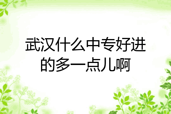 武汉什么中专好进的多一点儿啊