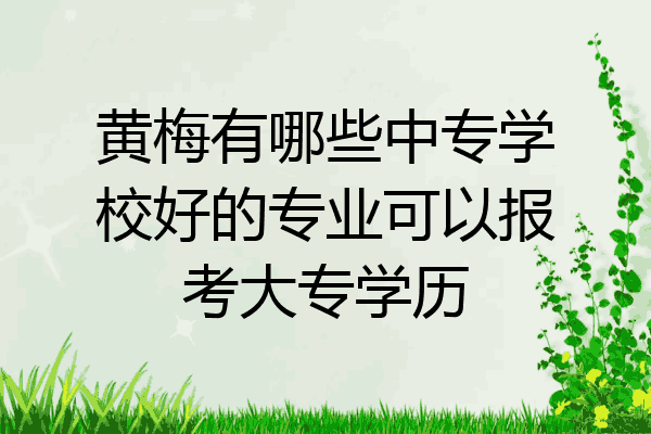 黄梅有哪些中专学校好的专业可以报考大专学历