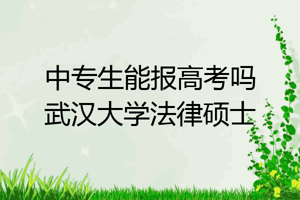 中专生能报高考吗武汉大学法律硕士