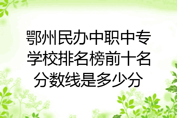 鄂州民办中职中专学校排名榜前十名分数线是多少分