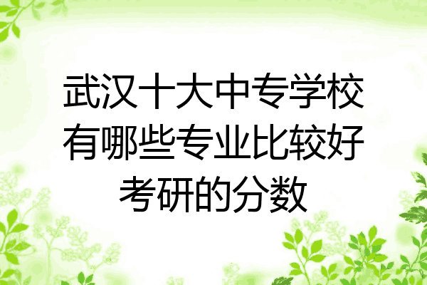 武汉十大中专学校有哪些专业比较好考研的分数