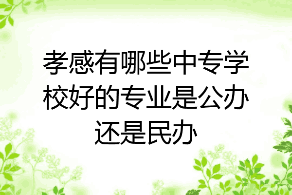 孝感有哪些中专学校好的专业是公办还是民办