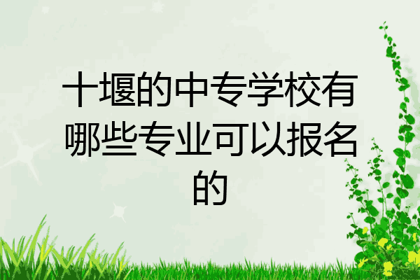十堰的中专学校有哪些专业可以报名的