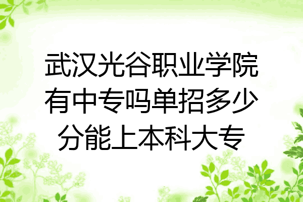 武汉光谷职业学院有中专吗单招多少分能上本科大专