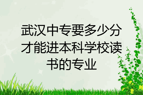 武汉中专要多少分才能进本科学校读书的专业