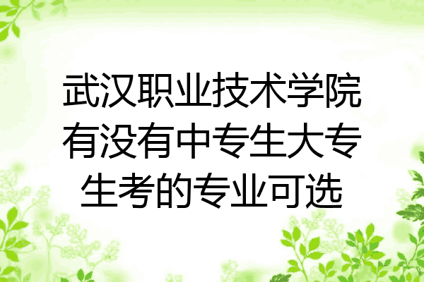 武汉职业技术学院有没有中专生大专生考的专业可选